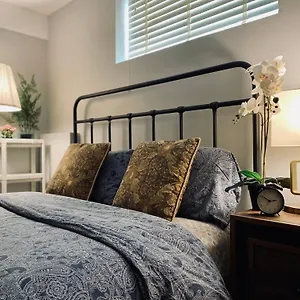 Newly Renovated Elephant Close To Banff And Business Center Calgary